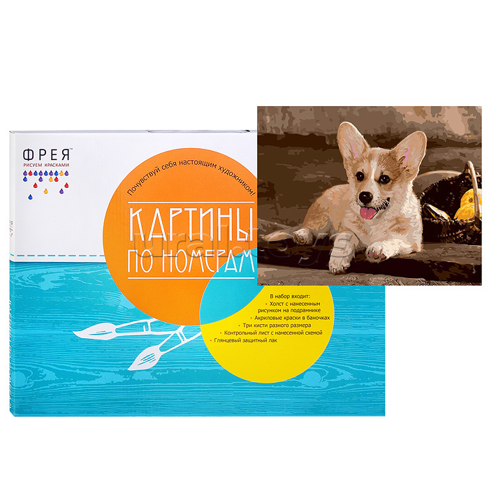 Набор для раскрашивания по номерам 40х50 "Вельш-Корги" №71