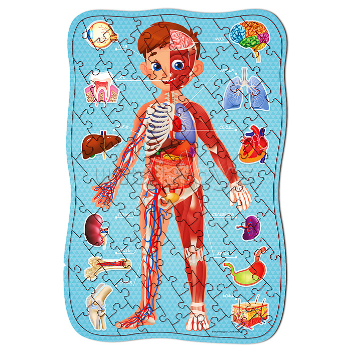 Большой подарок выпускнику детского сада 7в1