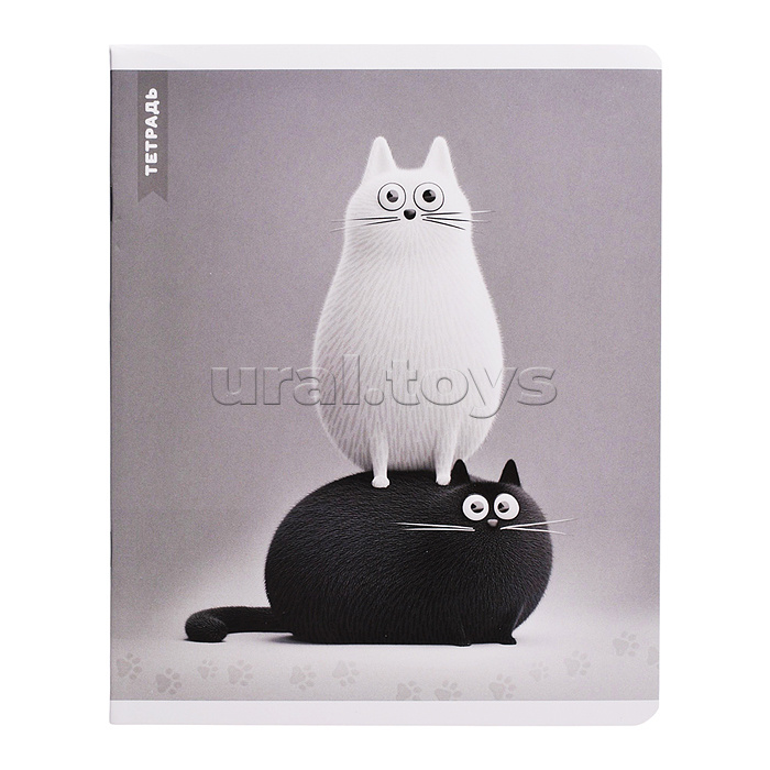 Тетрадь 48 л, клетка "Черно-белые коты" А5+, мягкий переплёт (2 скобы)