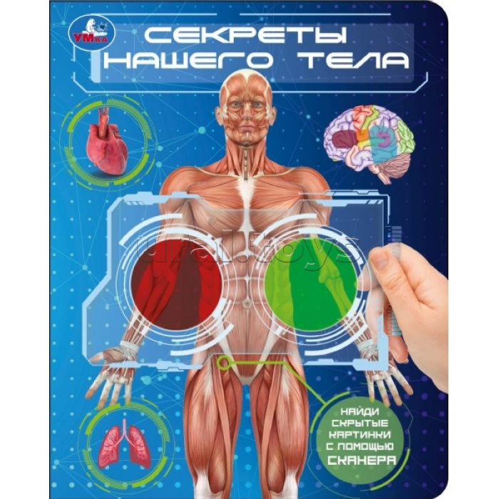 Секреты нашего тела. (книга с цвет. лупами) 160х200 10стр.