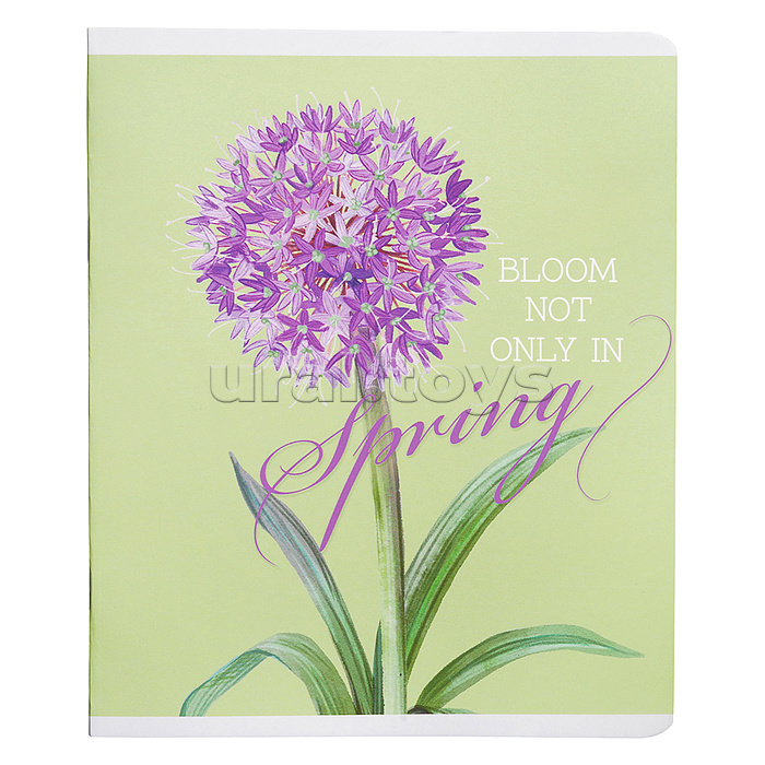 Тетрадь 48л. клетка "Spring" А5 скрепка