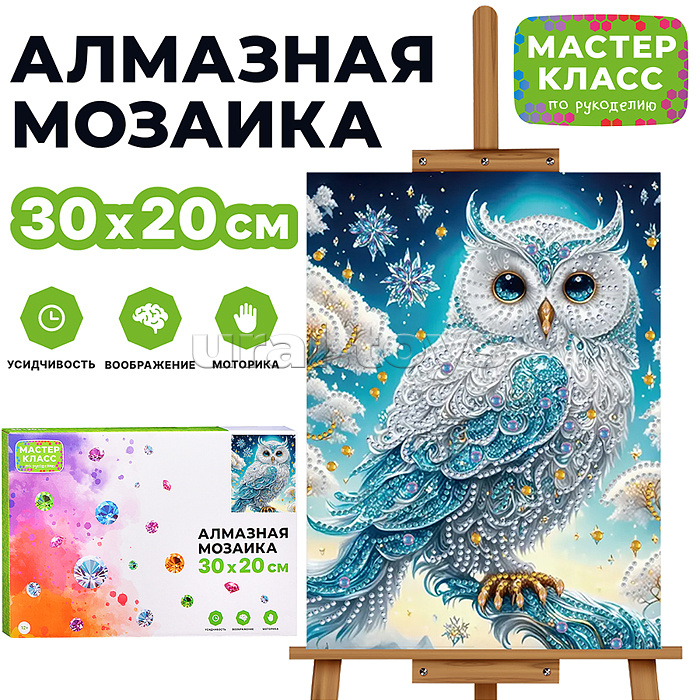Мозаика алмазная "Красивая сова" 20*30см.