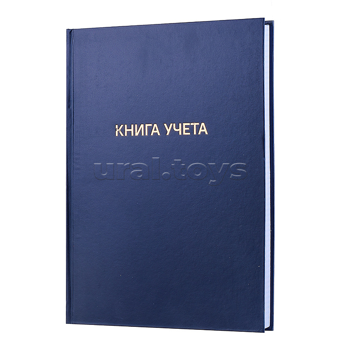Книга учета A4 192 л в клетку, офсет 60 г/м², 92% белизна, твердая обложка из бумвинила, тиснение фольгой Книга учета A4 192 л в клетку, офсет 60 г/м², 92% белизна, твердая обложка из бумвинила, тиснение фольгой
