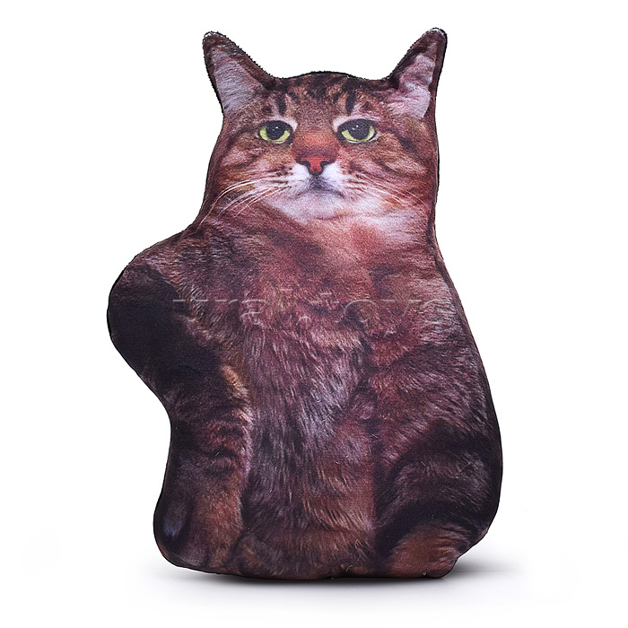 Кот Степан