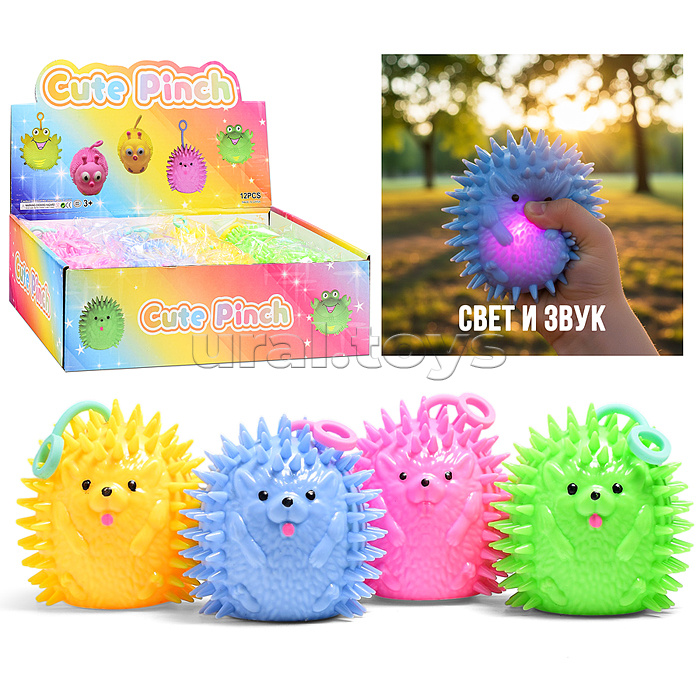 Игрушка-пищалка "Ежик" в коробке