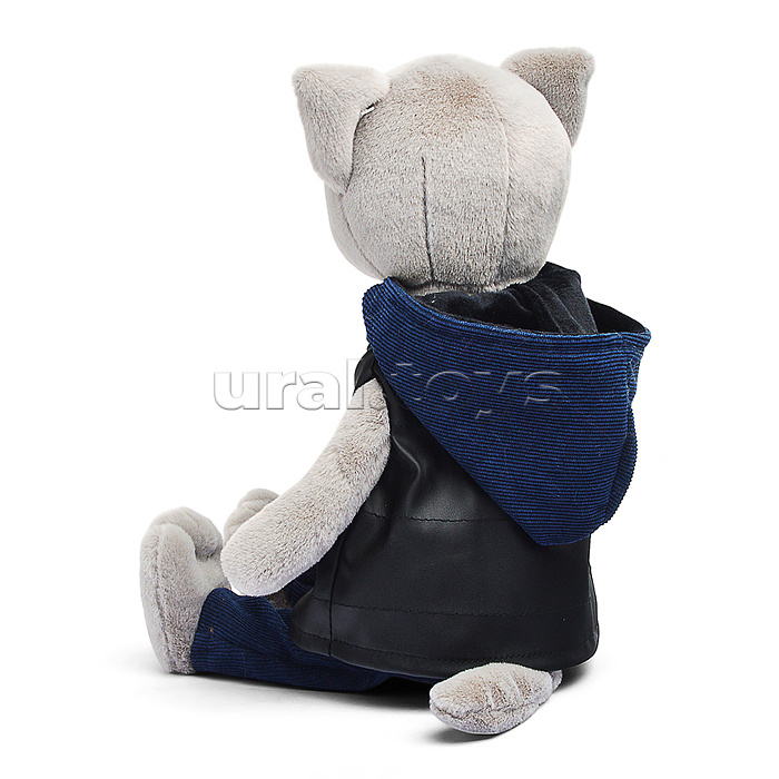 Кот Фред в жилетке В27