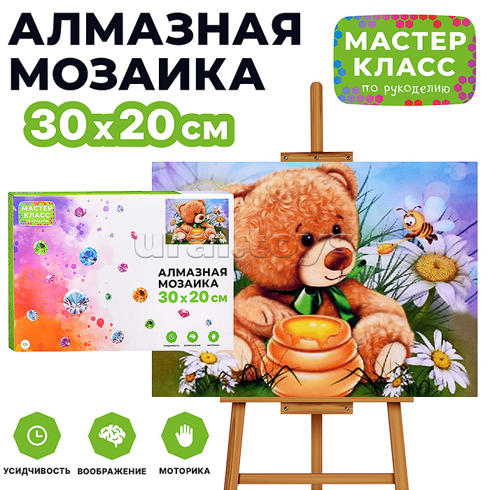 Мозаика алмазная "Мишка с лакомством" 20*30см.