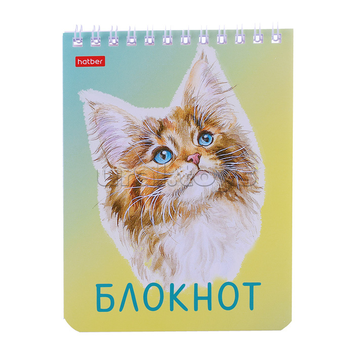 Блокнот 40л А6 клетка "Котики бывают разными"