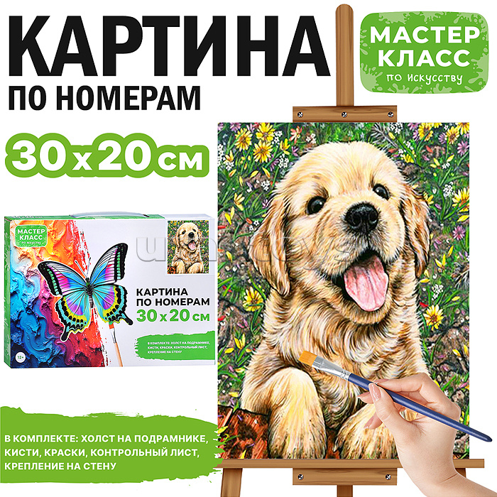 Набор для рисования "Картина по номерам 30х20 см.  Забавный щенок"