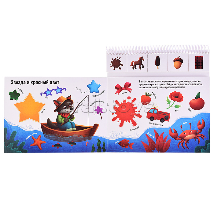 Умные пружинки. Цвета и формы