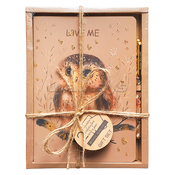 Набор подарочный "Love me. Совушка" (две тетради BV и ручка)