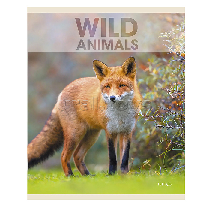 Тетрадь 96л. А5, клетка "Wild animals" скрепка Тетрадь 96л. А5, клетка "Wild animals" скрепка