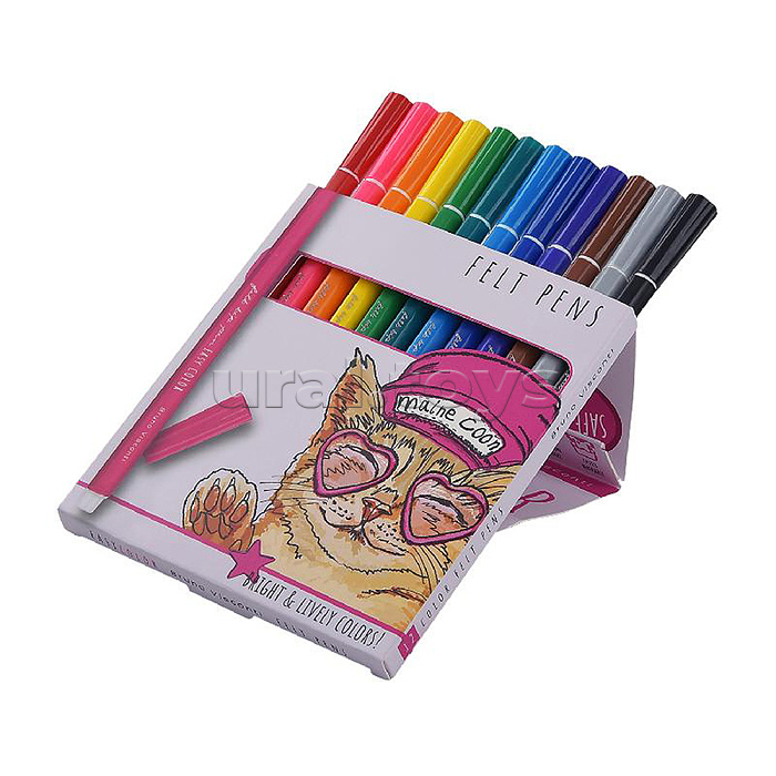 Фломастеры "Easycolor" 12 цв. Фломастеры "Easycolor" 12 цв.