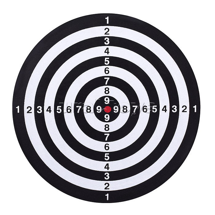 Дартс двусторонний с дротиками "Точно в цель!
