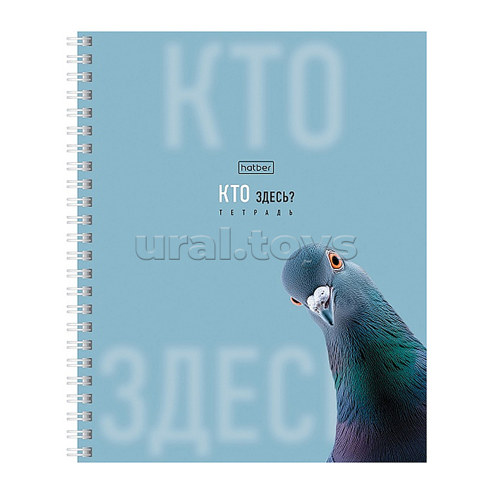 Тетрадь 48л. клетка "Кто здесь?" А5ф 60-65г/кв.м на гребне ламинация перфорация на отрыв 4 диз.