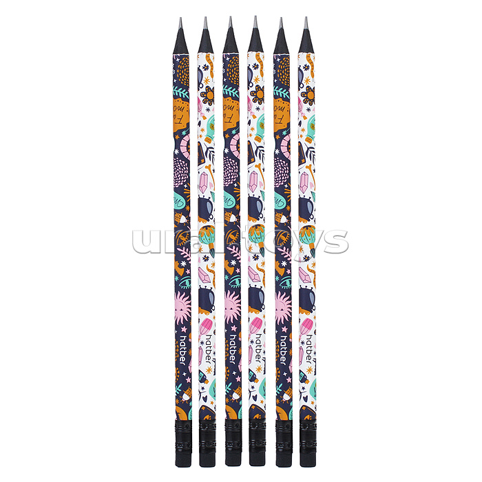 Набор карандашей чернографитн. Magia- Ассорти "HB" круглый корпус 6шт. с ластиком заточен.  в картонной коробке