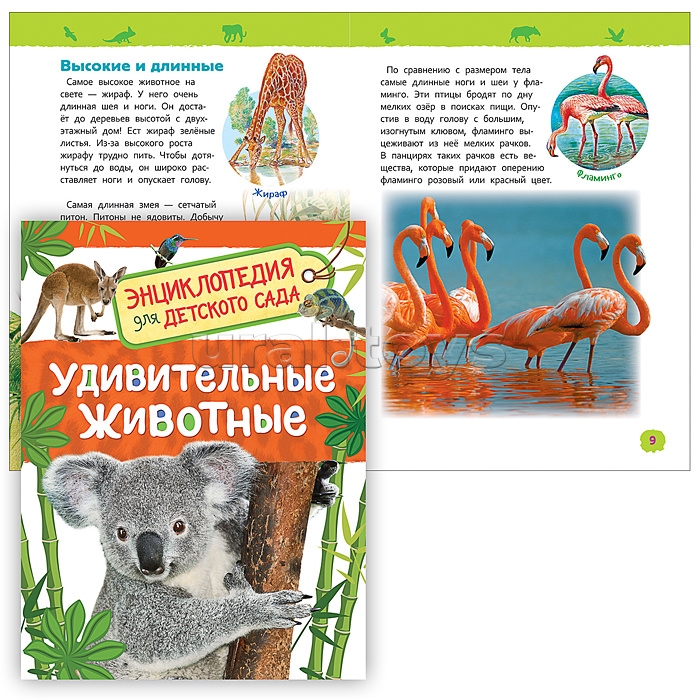 Энциклопедия для детского сада «Животные России» 2830904