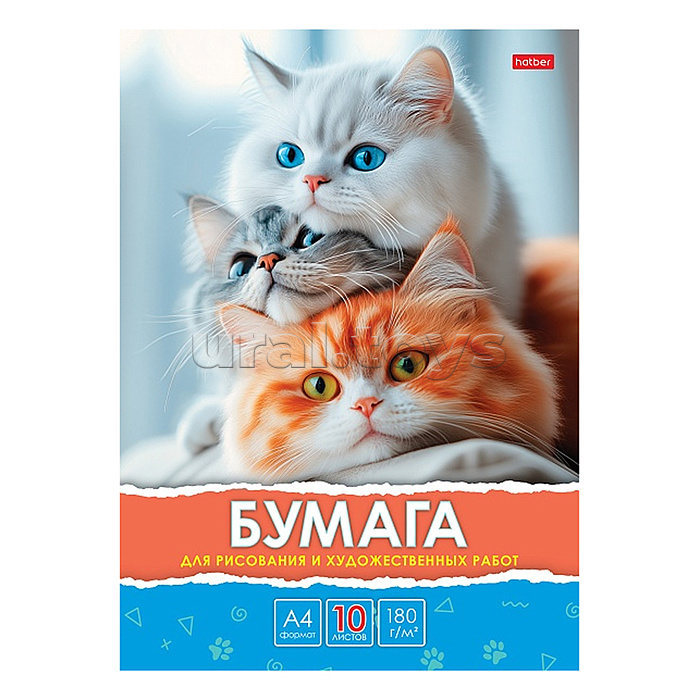 Набор бумаги для рисования и художественных работ 10л А4ф 180гр в папке тиснение "Белый, серый, рыжий"