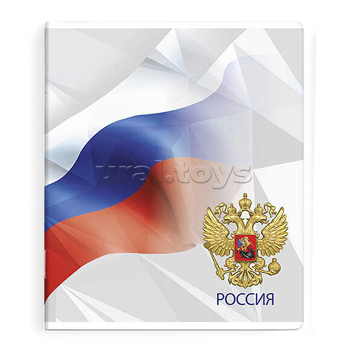 Тетрадь 48 л, клетка "Символика"