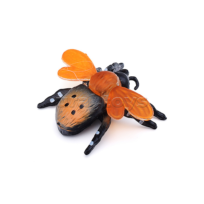 Насекомое в ассортименте, в коробке