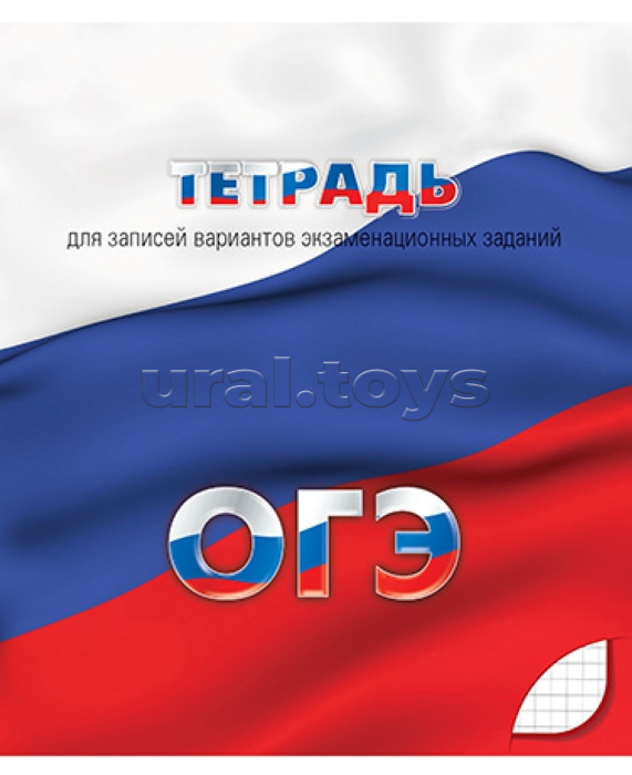 Тетрадь для подготовки к ОГЭ 48 л. клетка