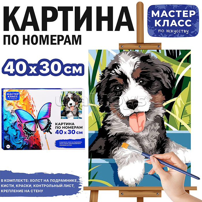 Набор для рисования "Картина по номерам 30*40 см. Пушистик"