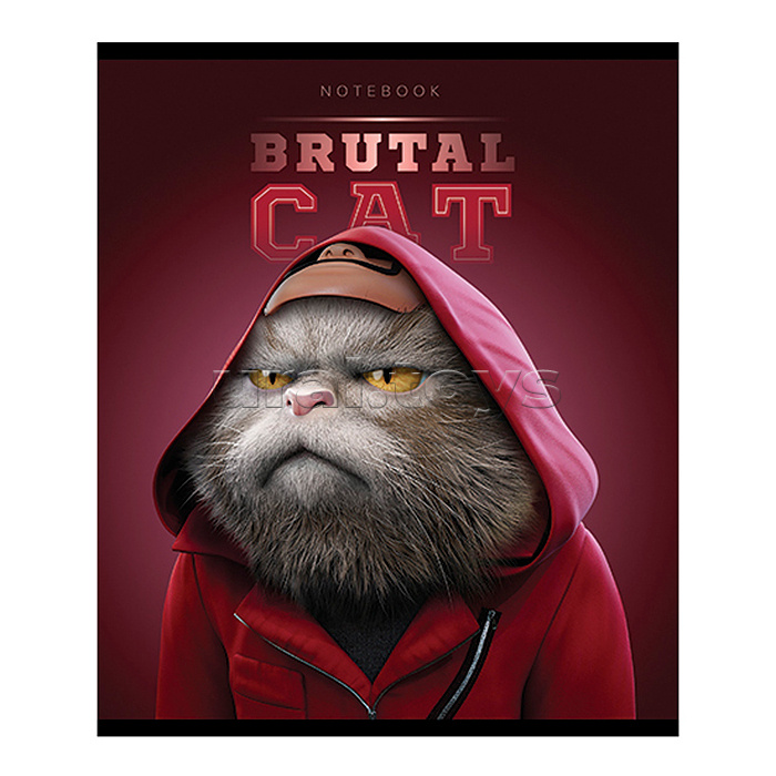 Тетрадь 48л А5 клетка S "Брутальные коты" Премиум Тетрадь 48л А5 клетка S "Брутальные коты" Премиум