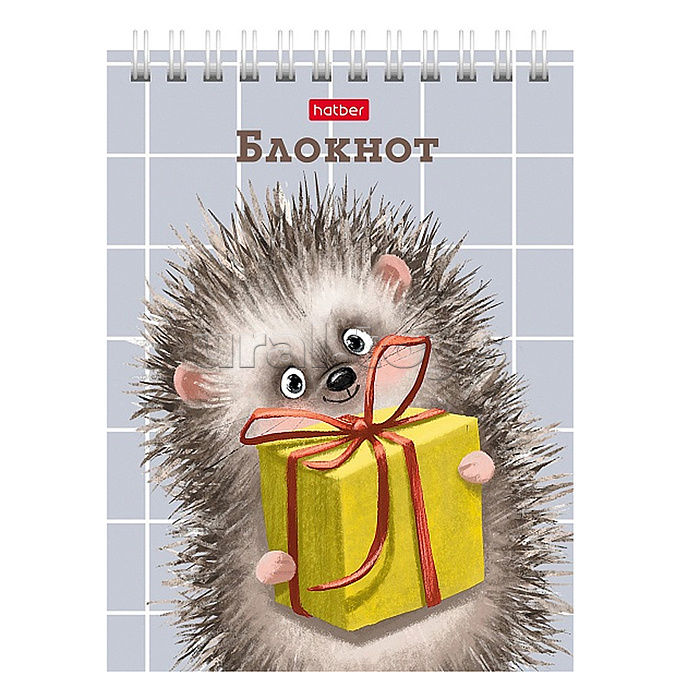 Блокнот 40л А6 клетка "Хорошо быть ёжиком" обл. мел.картон УФ-лак на гребне
