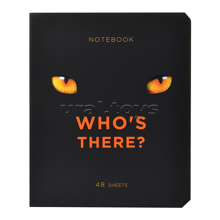 Тетрадь 48л. клетка, А5 "Кто это?" скрепка