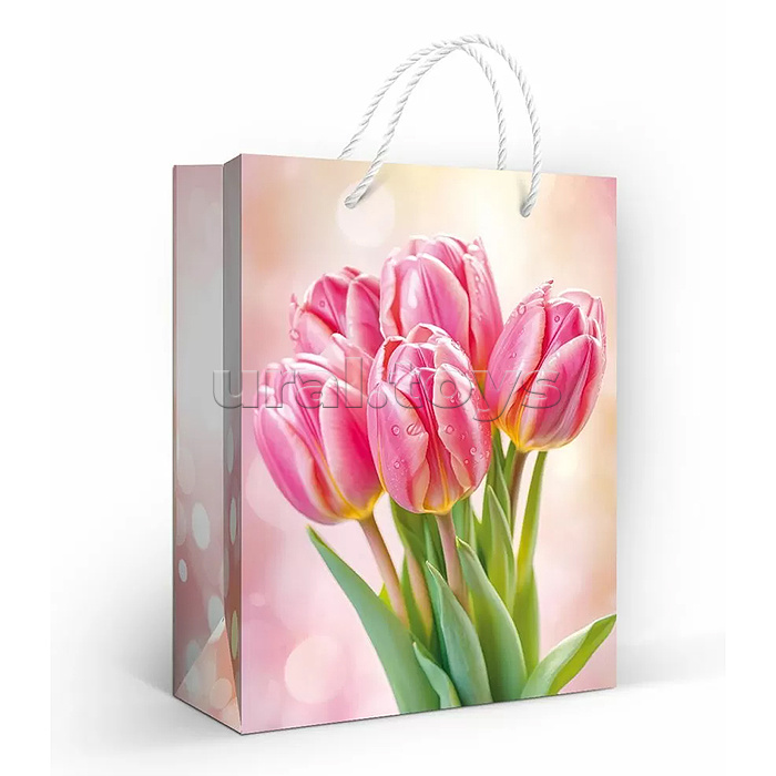 Пакет подарочный (M) "Розовый букет"