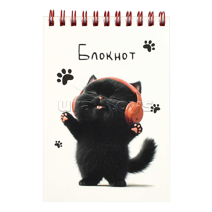 Блокнот А6 80л. "Котенок в наушниках" клетка