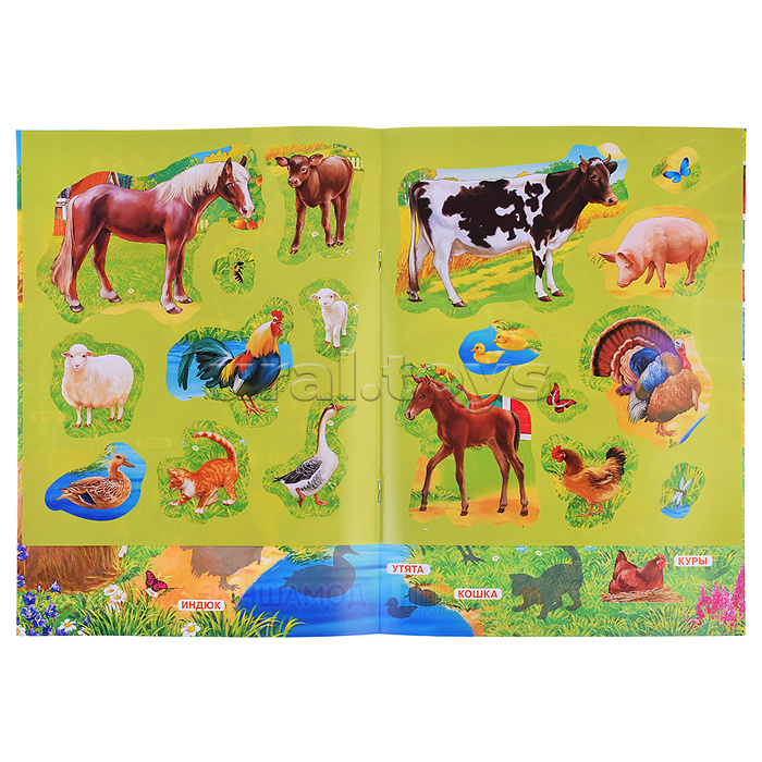 Домашние  животные. Книжка с наклейками.