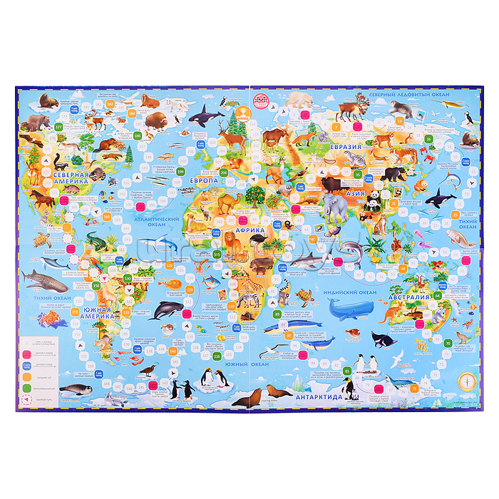 Подарок для самых умных. Животные мира. Книга+Большая раскраска+Игра-ходилка+Карточная игра.