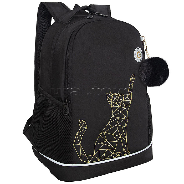 Рюкзак школьный (/1 чёрный - золото)