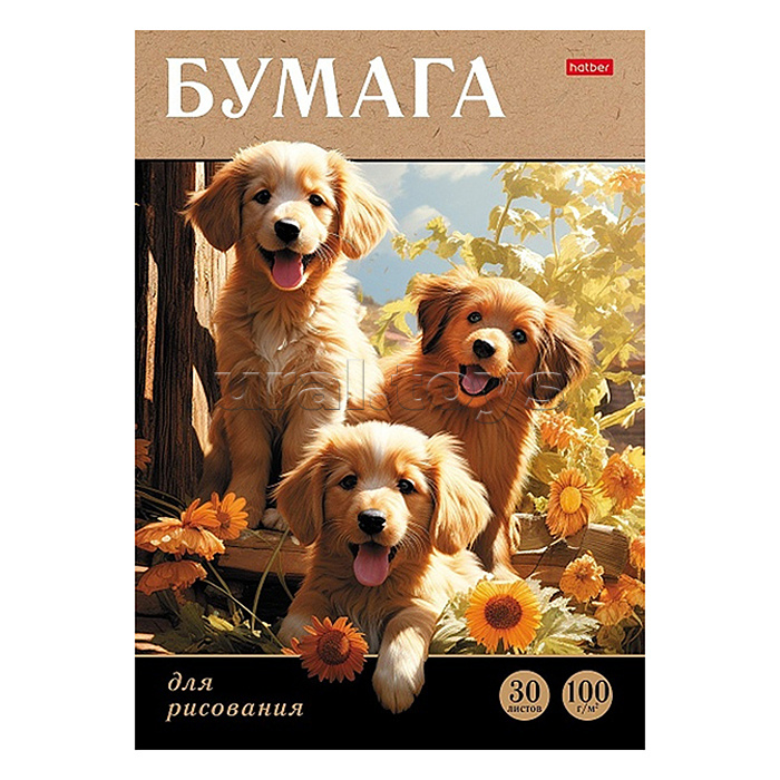 Набор бумаги для рисования 30л А4ф 100г/кв.м в папке обл. мел.картон тиснение "Мягкие ушки"