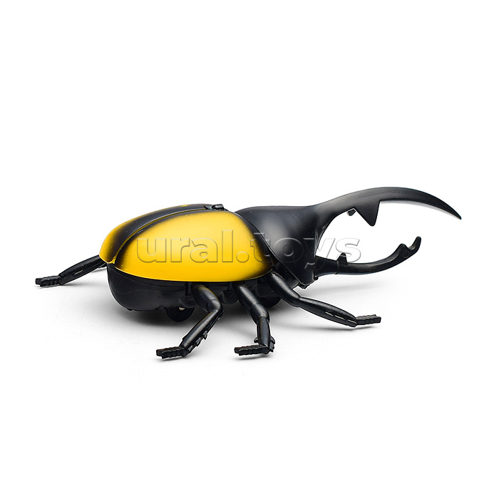 Жук в коробке