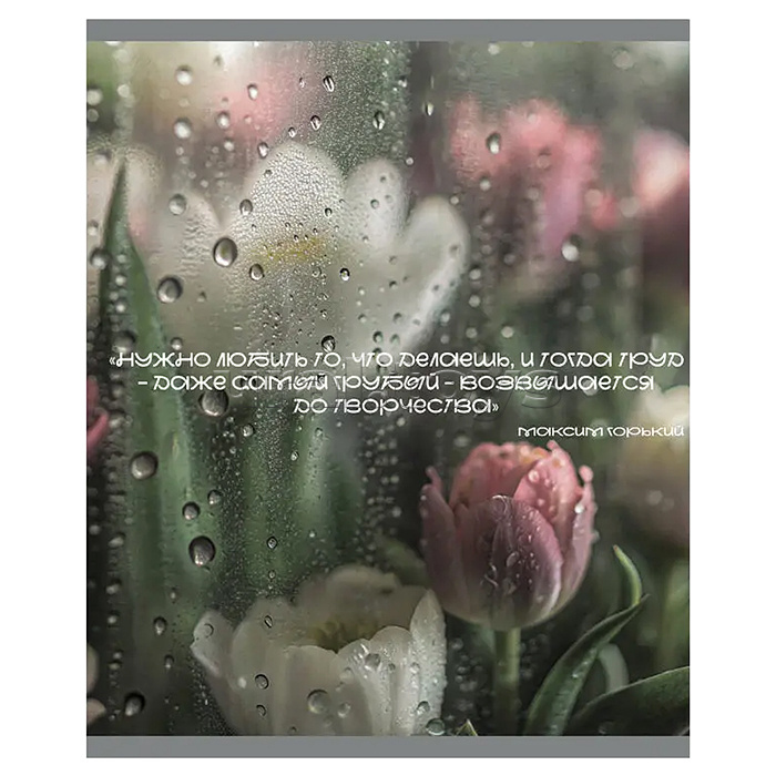 Тетрадь 48л. клетка "После дождя" А5 скрепка