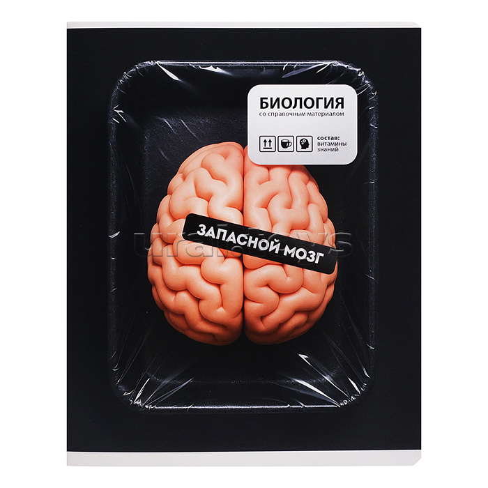 Тетрадь 48 л. клетка "Фразы с характером" Биология