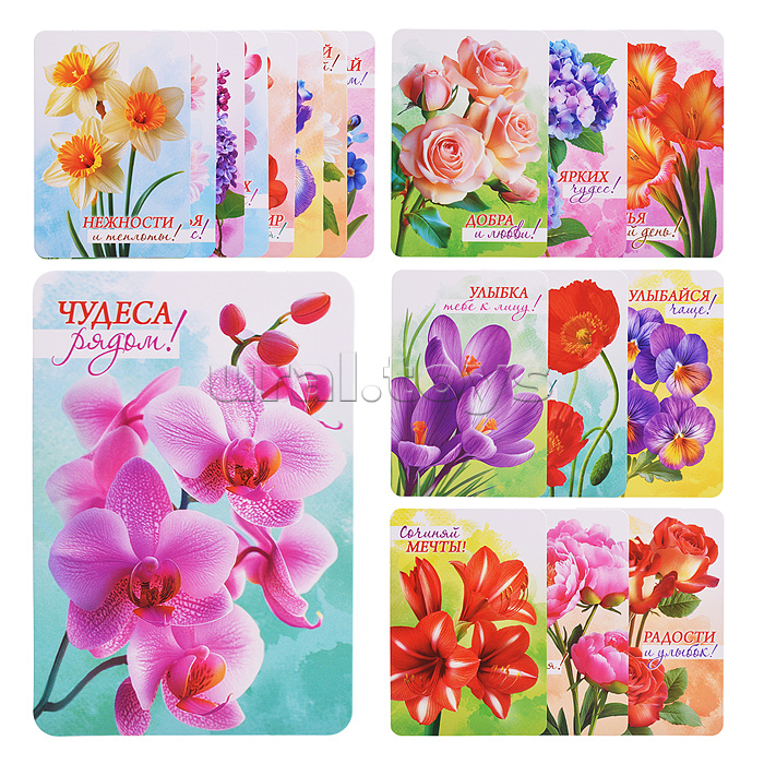 Набор мини-открыток "Акварельные цветы"