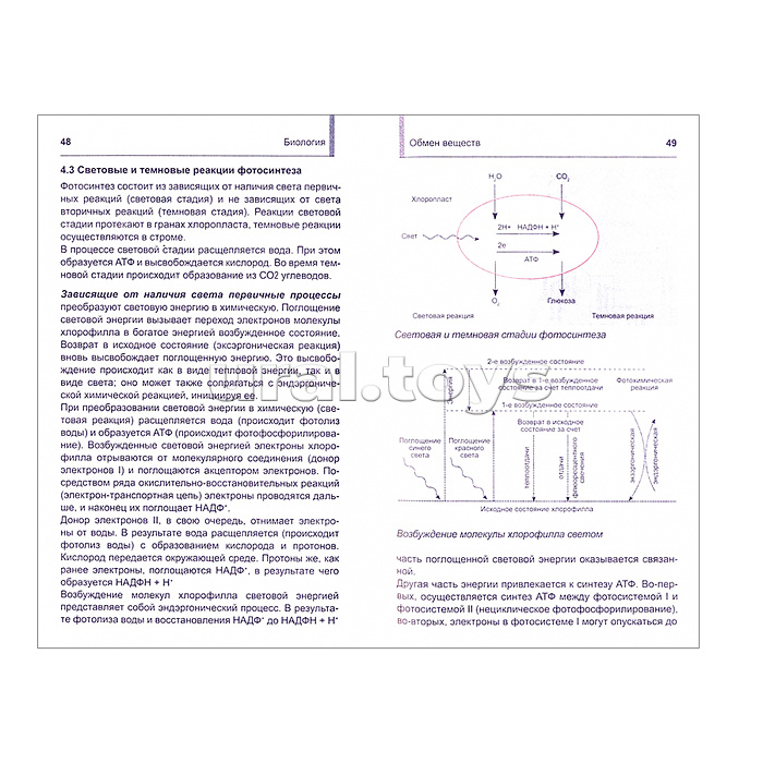 Карманный репетитор. Биология. Школьный курс