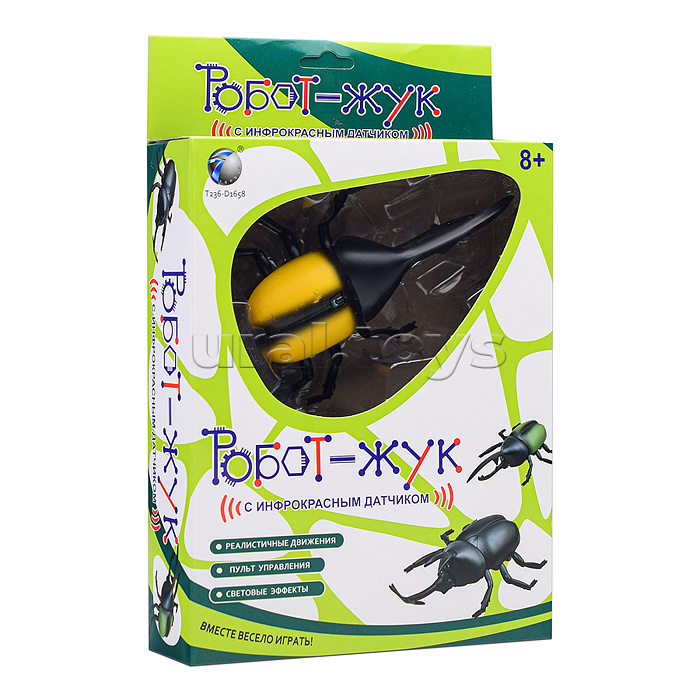 Жук в коробке