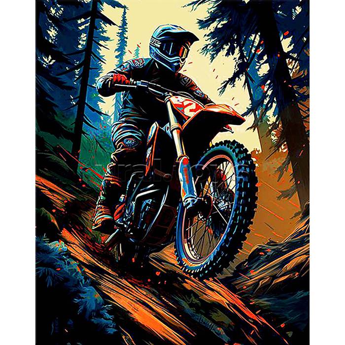 Картина по номерам 40х50 "Мотокросс" черный холст (16 цветов)