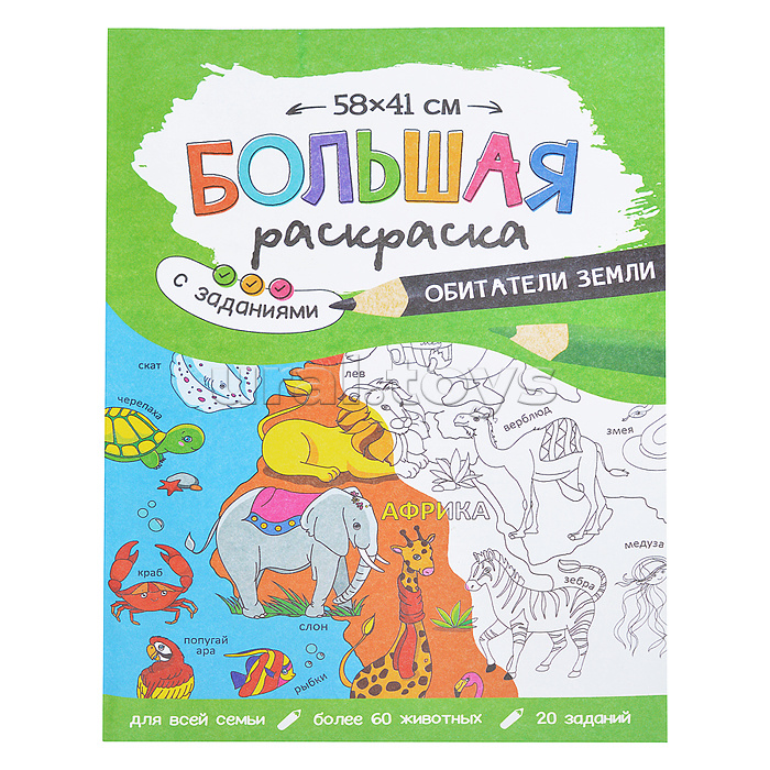 Подарок чемпиону 5в1. Серия Большой подарок.