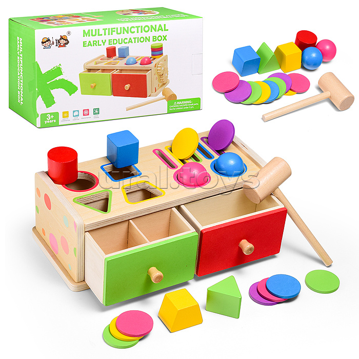 Сортер "Логика и мышленик"