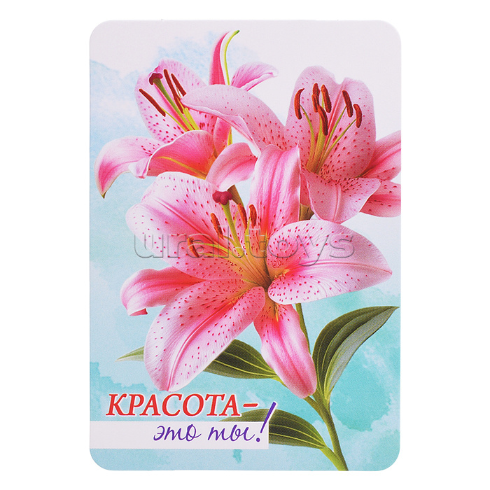 Набор мини-открыток "Акварельные цветы"