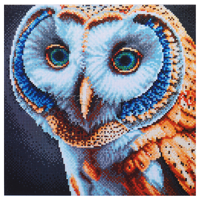 Кристальная (алмазная) мозаика на подрамнике 30х30 "Золотая сова"