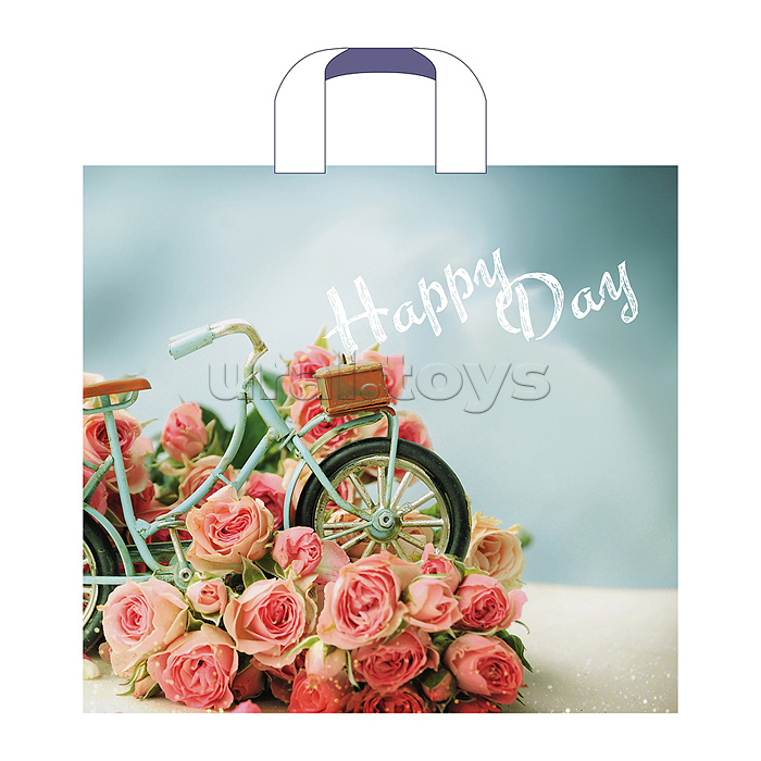 Пакет ПЭ с петлевой ручкой 38х34+3см (70) (Счастливый день)