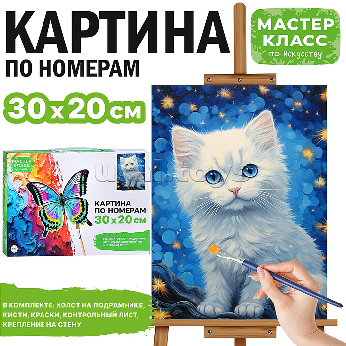 Картина по номерам "Белая кошечка" 30*20 см.