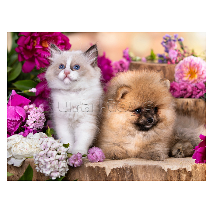 Алмазная мозаика 30х40 "Маленькие пушистики" с подр., с полн. заполн. (30цв) (блест.)