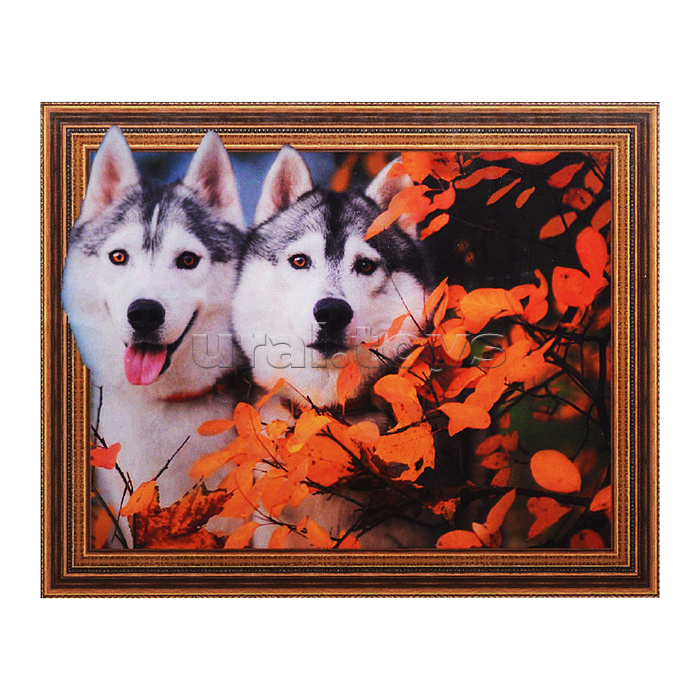 Алмазная мозаика 3D с нанесенной рамкой 40х50 "Всегда вместе" (30 цветов)